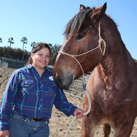Finn, a newly acquired Brabant, shows his profile with Circle D cast member Eveyln Valverde.  Finn weighs 1,750 lbs and stands 17.1 hands (5 feet, 9 inches)!