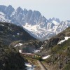 Disney Cruise Line Shared Some of Their Favorite Pics from Their Alaska Port Stops