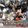 Vintage Walt Disney World: What’s Your Ticket?