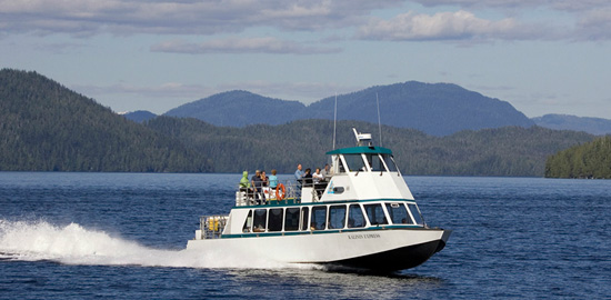 Explore Alaska’s Wildlife with Disney Cruise Line Explore Alaska’s Wildlife with Disney Cruise Line