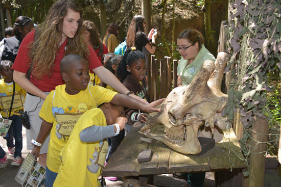 Wildlife Wednesdays: Central Florida Kids Experience Natural ‘Magic’ During Special Spring Camp at Walt Disney World Resort