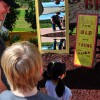 Believe in the Magic of Oz…See it in Bloom at Epcot