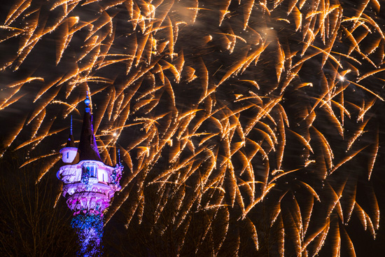 “Rapunzel's