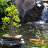 Travel to Japan – No Passport Needed at Japan Pavilion inside Epcot