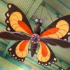Butterflies And Other Playful Animals Fill the Sky Inside Island Mercantile at Disney’s Animal Kingdom Theme Park