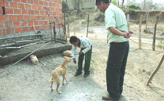 Wildlife Wednesdays: Disney’s Animal Kingdom Cast Cares for Pets, as Well as Endangered Monkeys, in Colombia
