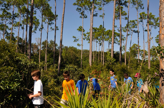 Wildlife Wednesdays: Disney Helps 60,000 Students Explore America’s National Parks Wildlife Wednesdays: Disney Helps 60,000 Students Explore America’s National Parks
