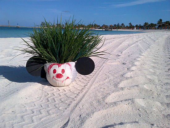 Private Island for a Day at Disney’s Castaway Cay