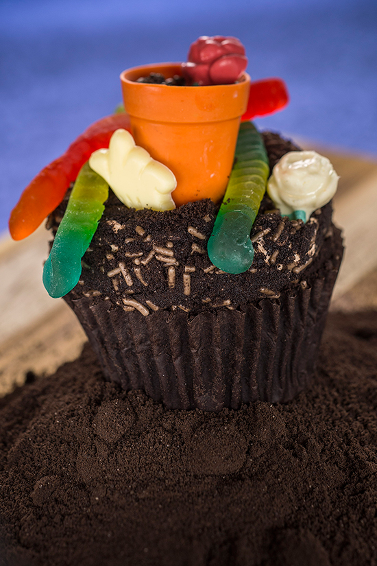 Chocolate Worms & Dirt Cupcake Topped with a Teensy Flower Pot and Gummy Worms Chocolate Worms & Dirt Cupcake Topped with a Teensy Flower Pot and Gummy Worms