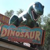 Dinosaurs Say “Good Buy” at Chester and Hester’s Dinosaur Treasures in Dinoland, U.S.A. at Disney’s Animal Kingdom