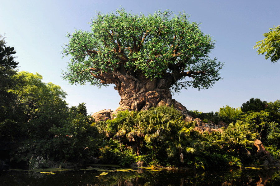 Time-Lapse Video: Watch the Tree of Life Grow at Disney’s Animal