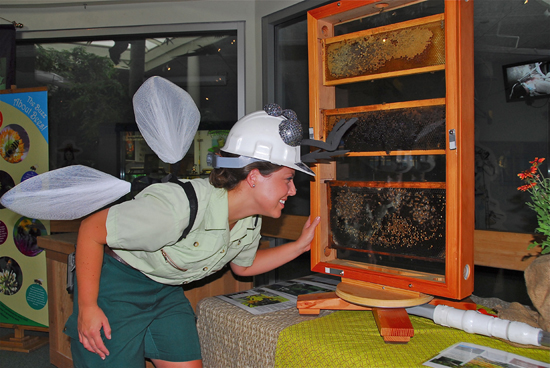 Disney’s Animal Kingdom is All Abuzz on Pollinator Day, June 5 at Walt Disney World Resort
