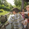 Become A Wilderness Explorer at Disney’s Animal Kingdom at Walt Disney World Resort