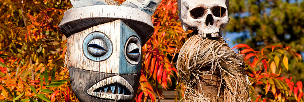 50th Anniversary of Walt Disney’s Enchanted Tiki Room