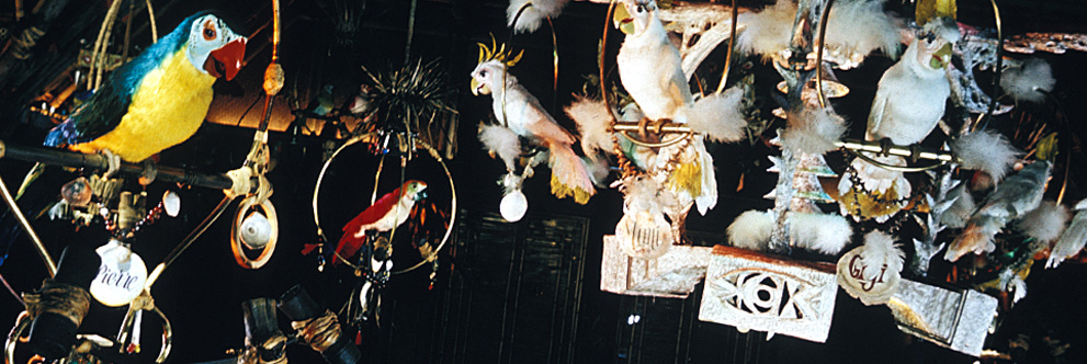 50th Anniversary of Walt Disney’s Enchanted Tiki Room