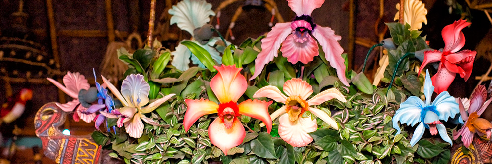 50th Anniversary of Walt Disney’s Enchanted Tiki Room