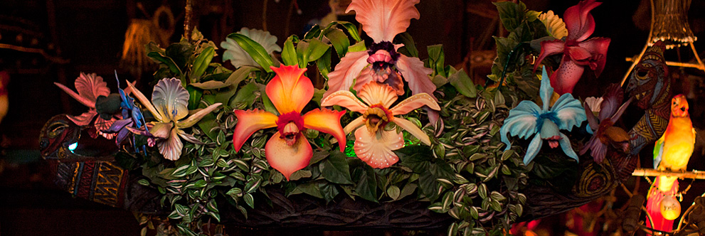 50th Anniversary of Walt Disney’s Enchanted Tiki Room