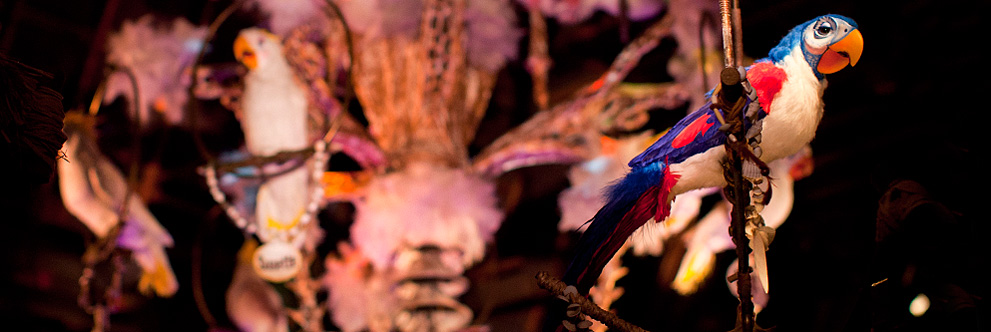 50th Anniversary of Walt Disney’s Enchanted Tiki Room