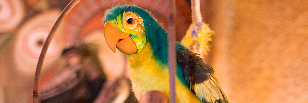 50th Anniversary of Walt Disney’s Enchanted Tiki Room