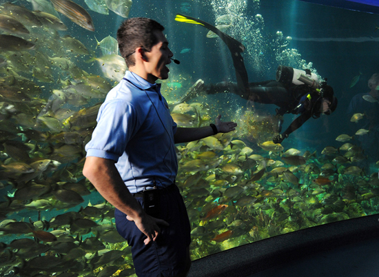 Wildlife Wednesdays: Nemo and the Gang Celebrate World Oceans Day at Epcot