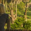 Wild Africa Trek Allows Guests to Explore a Different Side of Disney’s Animal Kingdom
