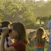 Wild Africa Trek Allows Guests to Explore a Different Side of Disney’s Animal Kingdom