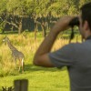 Wild Africa Trek Allows Guests to Explore a Different Side of Disney’s Animal Kingdom