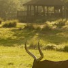 Wild Africa Trek Allows Guests to Explore a Different Side of Disney’s Animal Kingdom