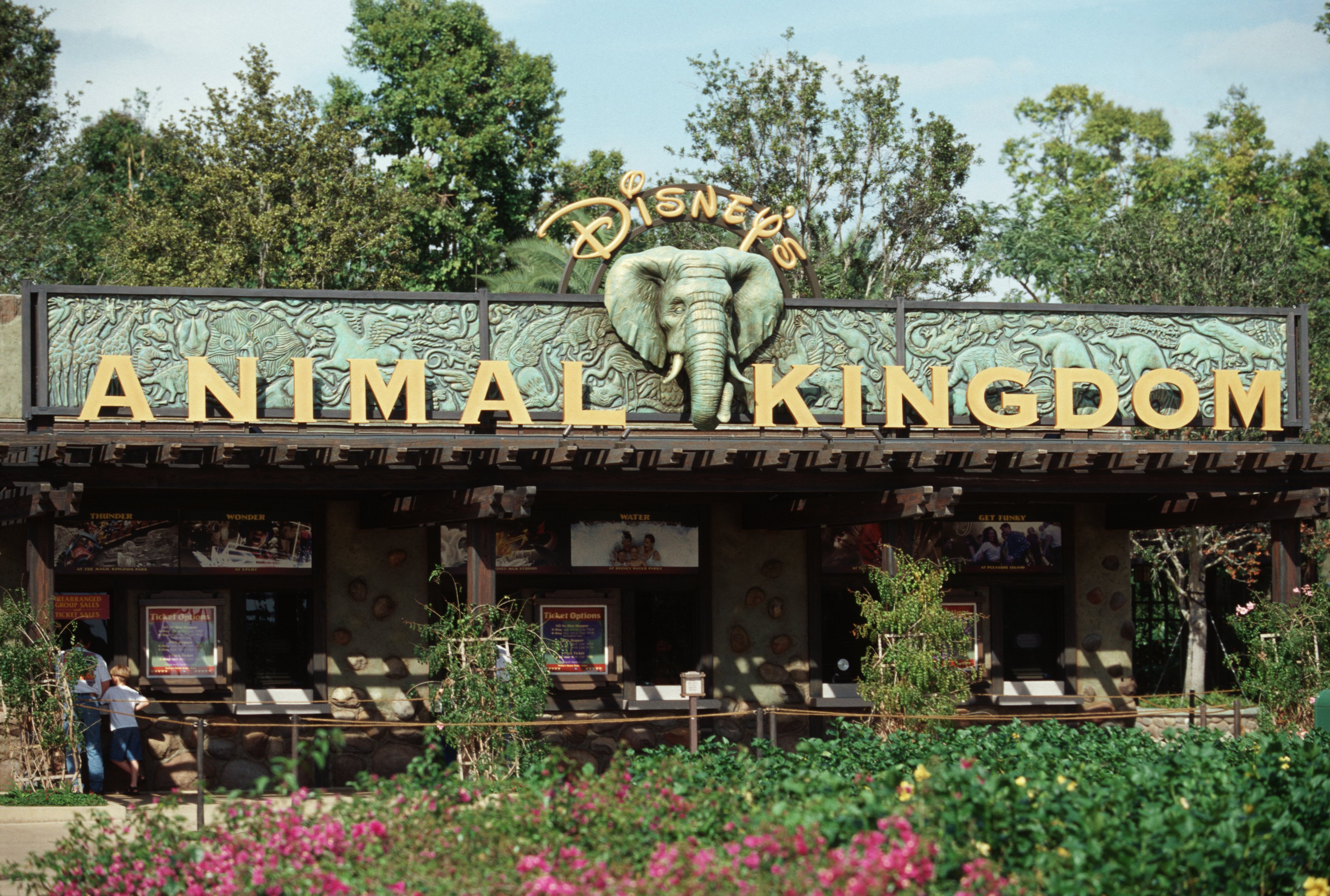 disney animal magic kingdom