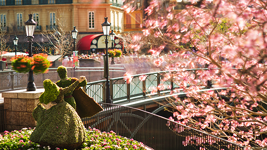 Sign Up for a Chance to Tour the Gardens at the Epcot International Food & Wine Festival Sign Up for a Chance to Tour the Gardens at the Epcot International Food & Wine Festival