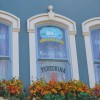 Pumpkins of Magic Kingdom Park