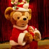 Enjoy the Holiday Season at Walt Disney World Resort