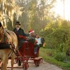 Enjoy the Holiday Season at Walt Disney World Resort