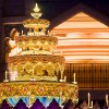 Christmas Trees at Disney Parks, Featuring Tokyo DisneySea
