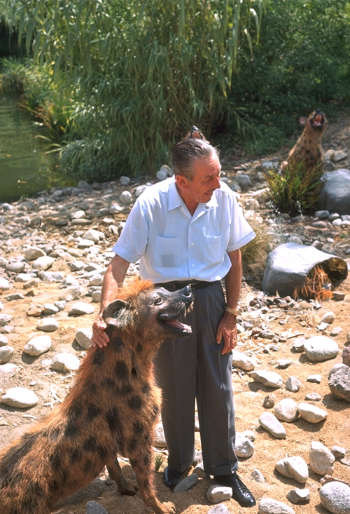 Walt in the Jungle 3