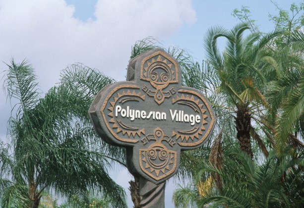 PVR065931