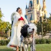 A Disney Side Dog’s Day at Magic Kingdom Park