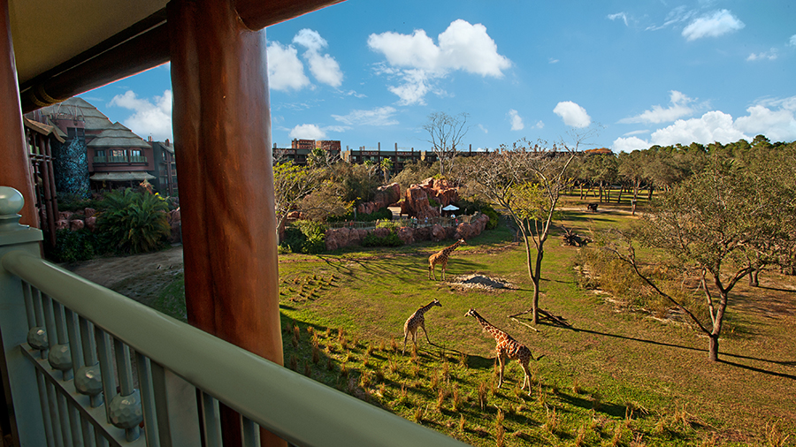 Room with a View: ‘Safari View’ Suite at Disney’s Animal Kingdom Lodge