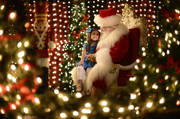 Festival Of The Seasons