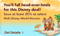Special Offer