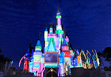 Celebrate the Magic