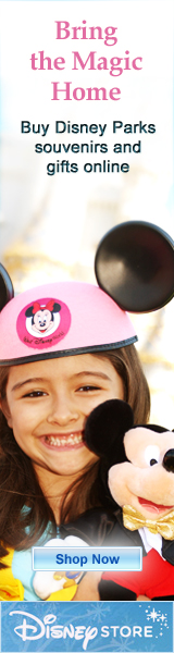 Shop the Disneystore.com