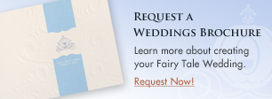 DVD Brochure