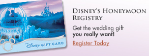 Disney's Honeymoon Registry