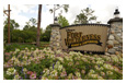 The Cabins at Dsiney's Fort Wilderness Resort