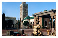 Morocco Oasis