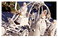 Cinderella's Coach