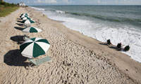 Bright colored umbrellas along a sandy strip