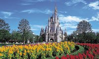 Flowers in the foreground of Cinderella Castle at Tokyo Disney Resort