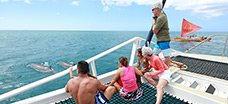 Aulani Catamaran Experience